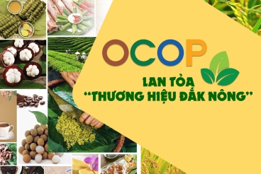 Lan tỏa thương hiệu đặc sản Việt ra thị trường rộng lớn
