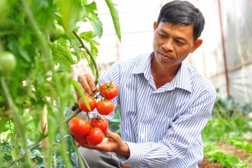 Tư vấn & đào tạo chuyển đổi số cho doanh nghiệp và hợp tác xã