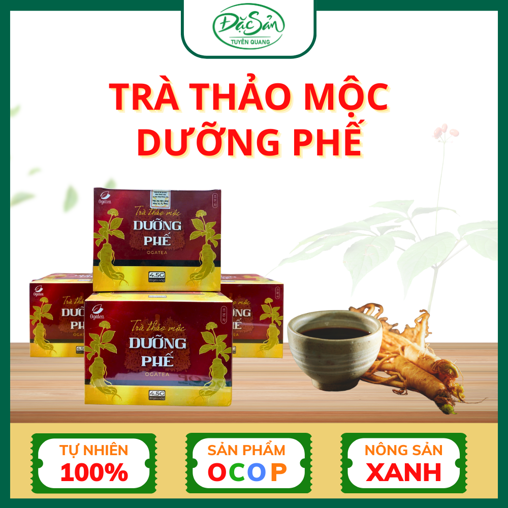 Trà Thảo Mộc Dưỡng Phế