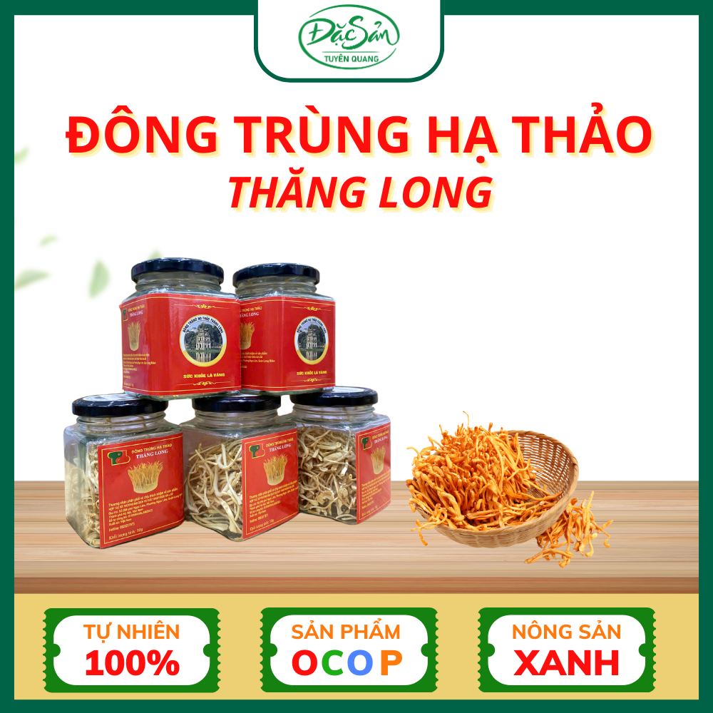 Đông Trùng Hạ Thảo Thăng Long