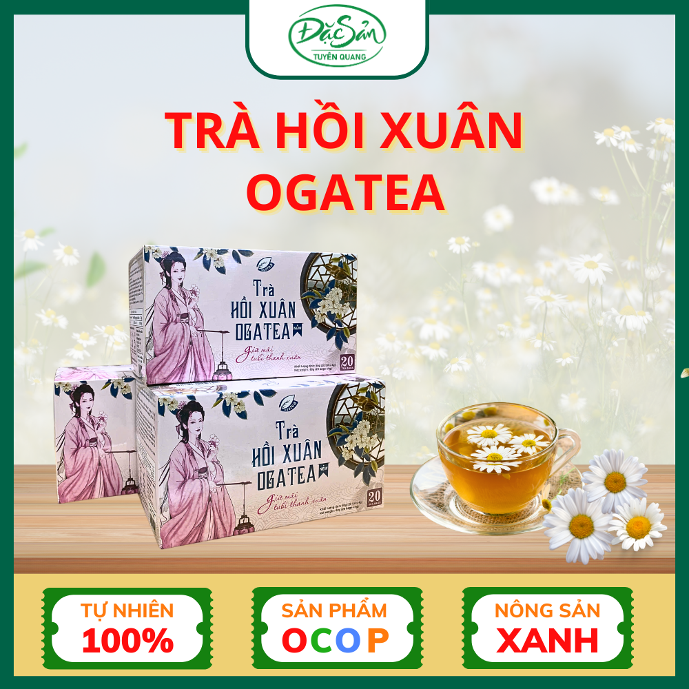 Trà hồi Xuân Ogatea