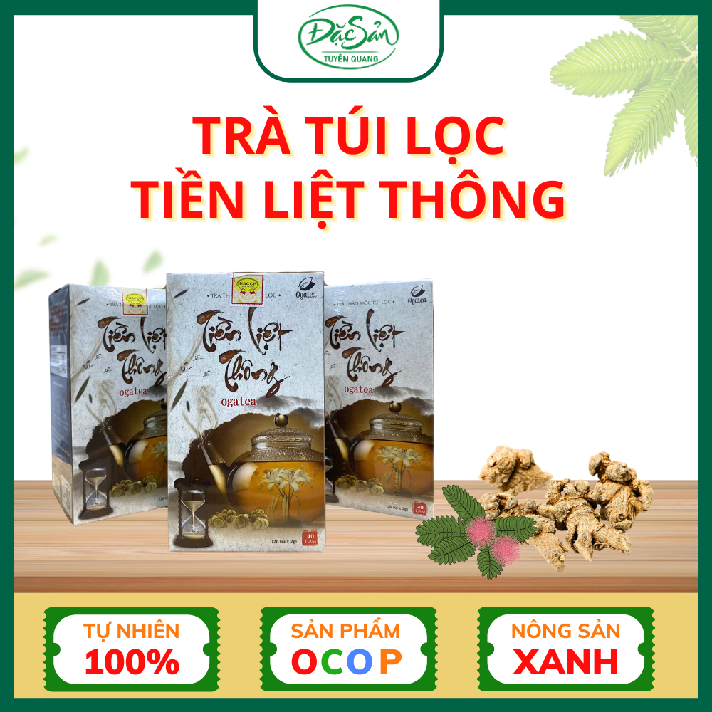 Trà Túi Lọc Tiền Liệt Thông