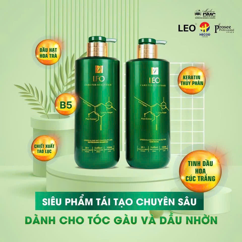 Cặp dầu gội xả đặc trị gàu, nhờn Leo xanh 750ml